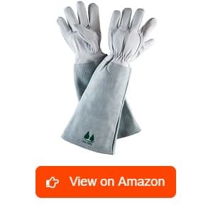 FirTree-Brand-Rose-Garden-Glove