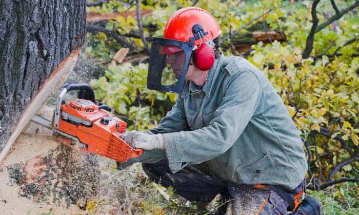 best-face-shield-for-woodworking