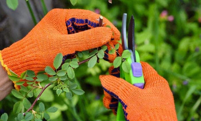 long-gardening-gloves