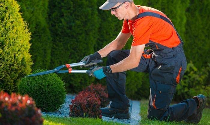 knee pads for gardening