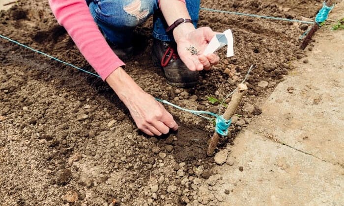 best-boots-for-landscaping