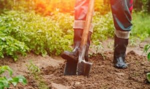 best boots for working in mud