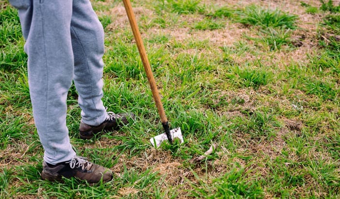 yard-work-shoes