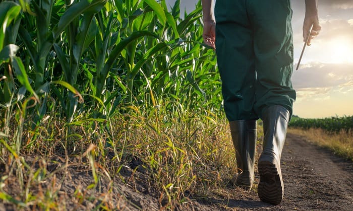 best rubber boots for farm work