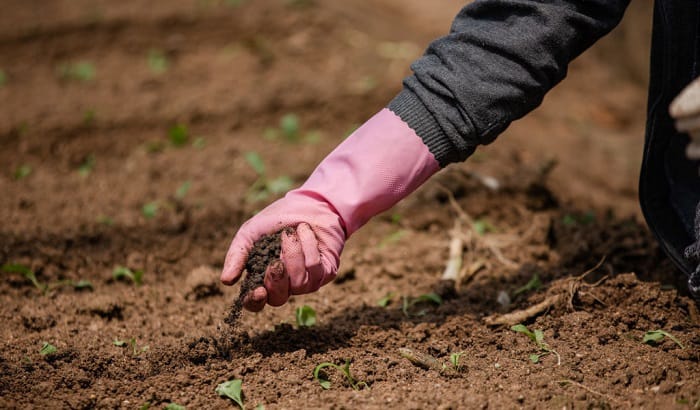 can-you-touch-fertilizer-with-your-hands