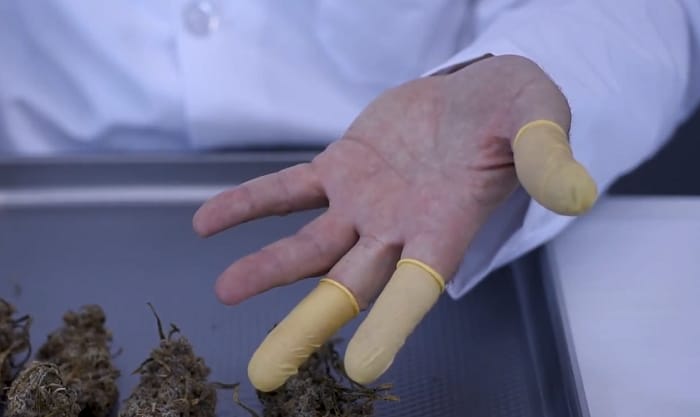 What Are Individual Finger Gloves Called Find Out in This Article