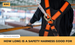 how long is a safety harness good for