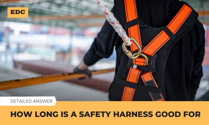 How Long is a Safety Harness Good for? (Expiration Date)