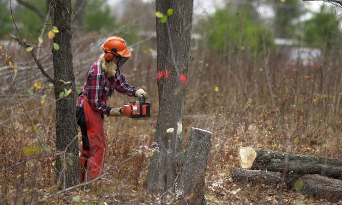 kevlar-chain-saw-chaps