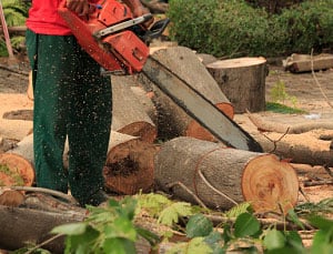 kevlar-pants-chainsaw