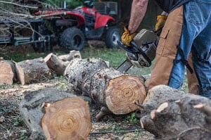 woodcutting-chaps