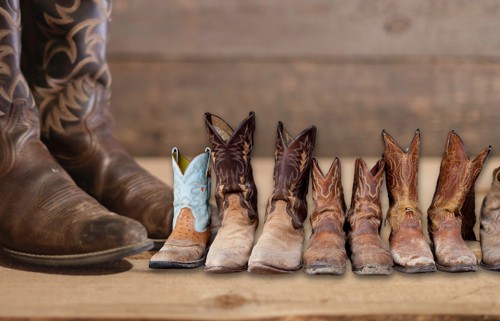 decorating-some-of-its-cowboy-boots