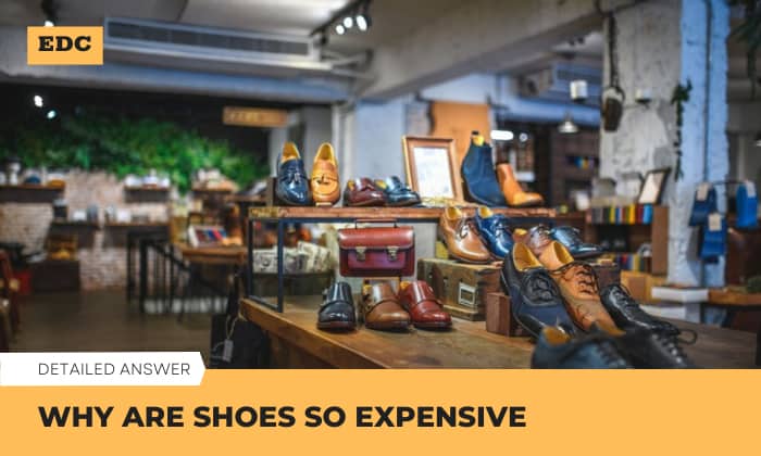Why Are Shoes So Expensive? – 6 Main Reasons